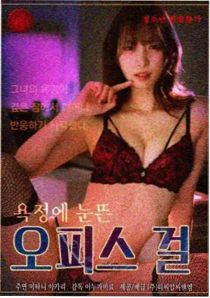 韩剧汉江以北第二季海报